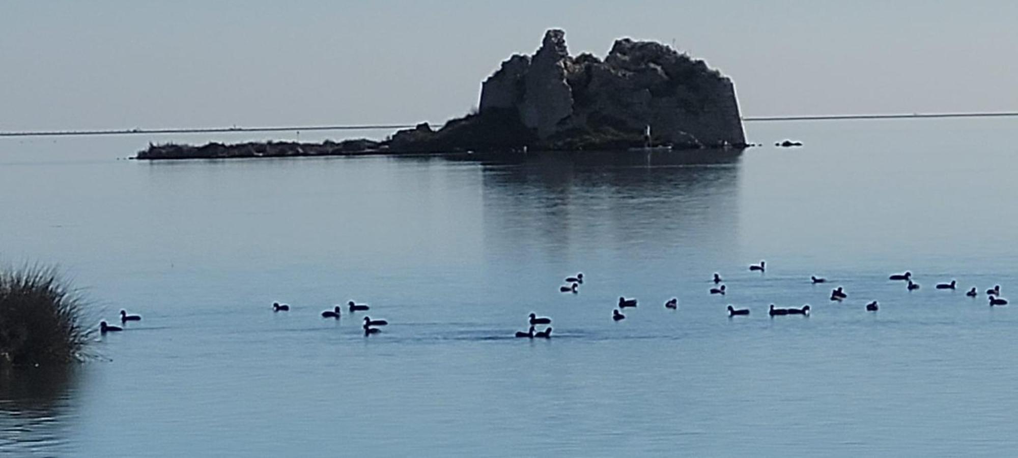 La Llar De Laura 2 Βίλα Amposta Εξωτερικό φωτογραφία